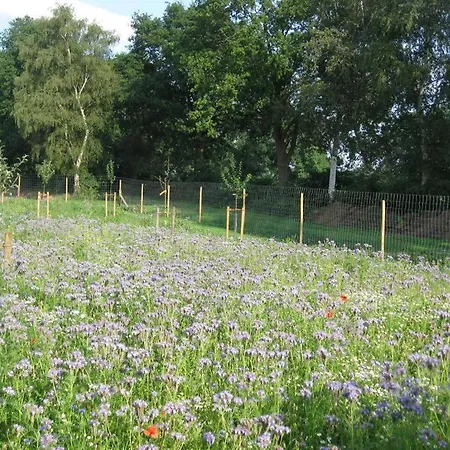 Urlaubsdomizil Im Gruenen * Westerstede