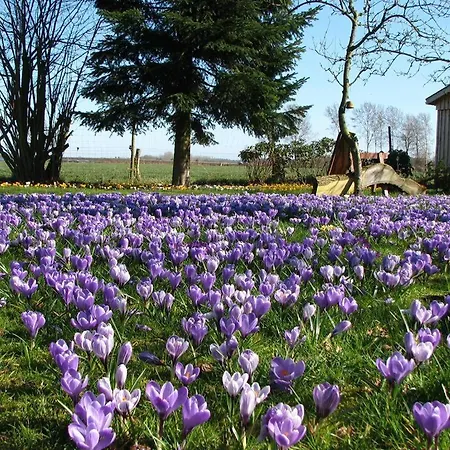 Urlaubsdomizil Im Gruenen *