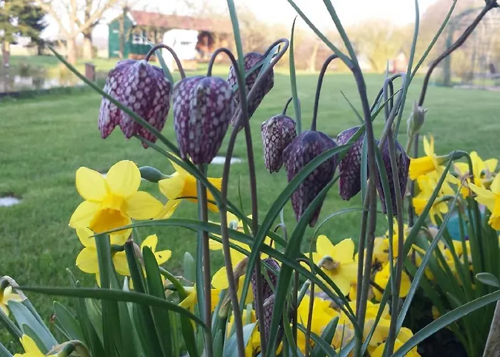 Appartement Urlaubsdomizil Im Gruenen