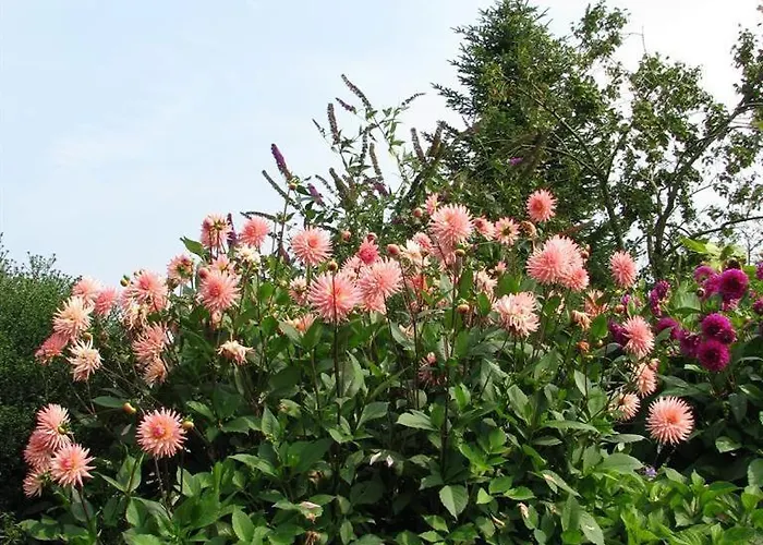 Urlaubsdomizil Im Gruenen *