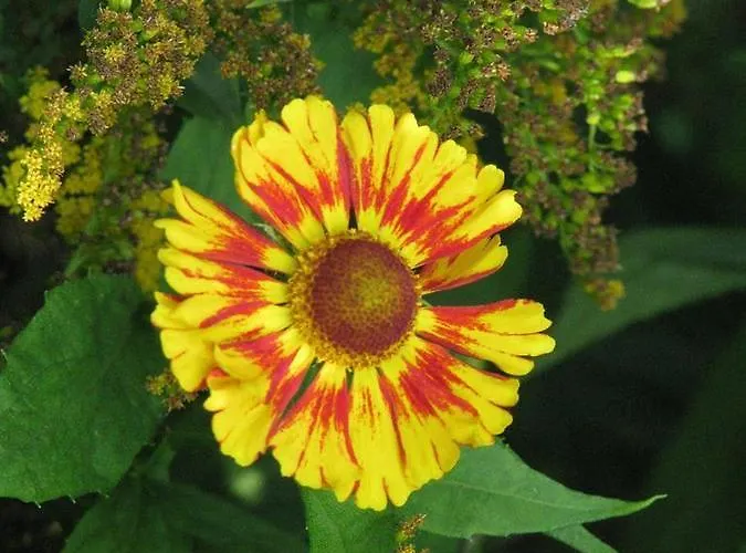 Appartement Urlaubsdomizil Im Gruenen *