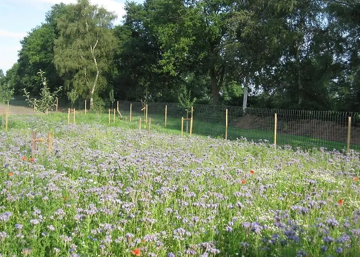 Urlaubsdomizil Im Gruenen * Westerstede