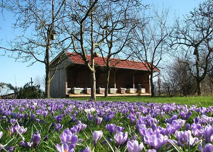 Urlaubsdomizil Im Gruenen * Westerstede