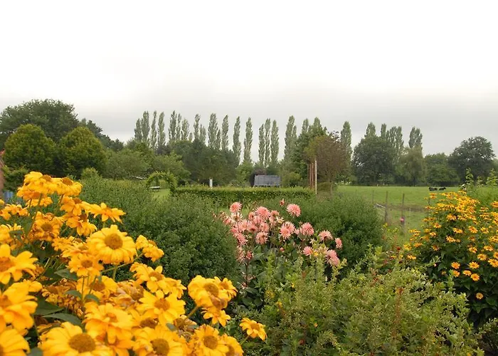 Urlaubsdomizil Im Gruenen Westerstede