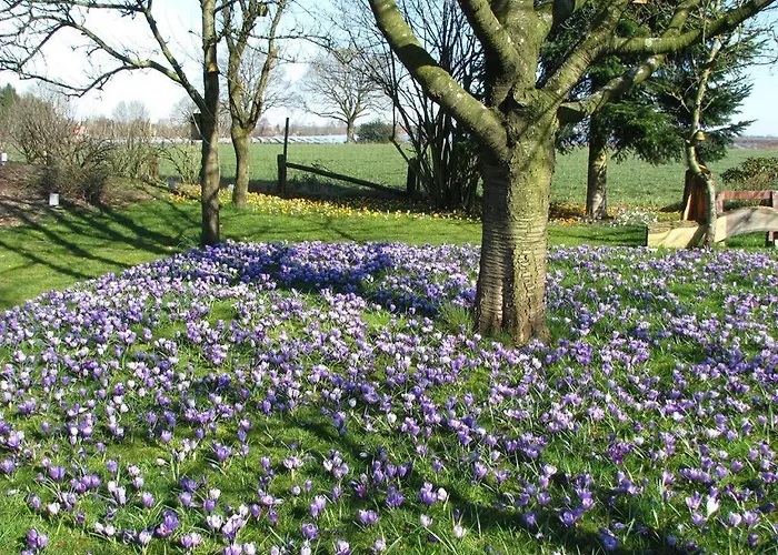 Urlaubsdomizil Im Gruenen Appartement