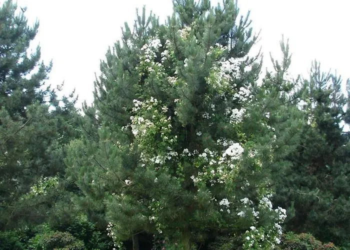 Urlaubsdomizil Im Gruenen Appartement Westerstede