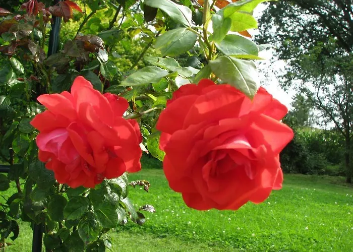 Urlaubsdomizil Im Gruenen Westerstede