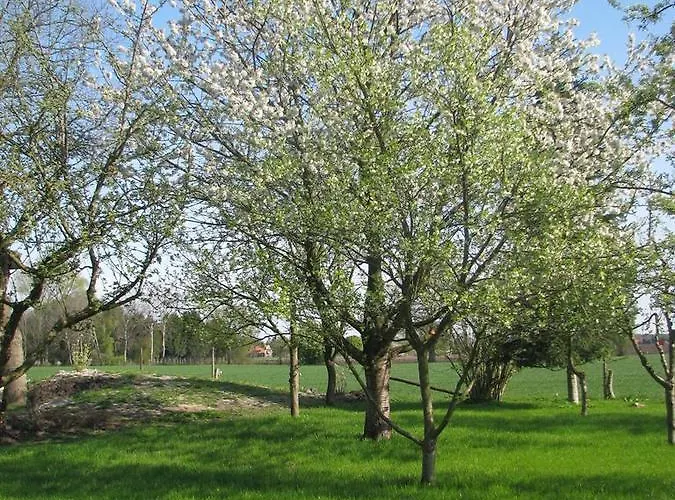 Urlaubsdomizil Im Gruenen * Westerstede